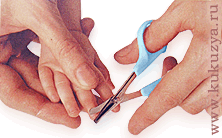 Обработка ногтей новорожденного ножницами