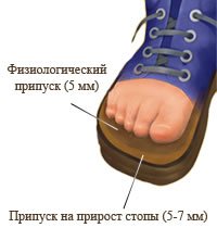 Выбор размера детской обуви