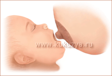 Прикладывание ребёнка к груди