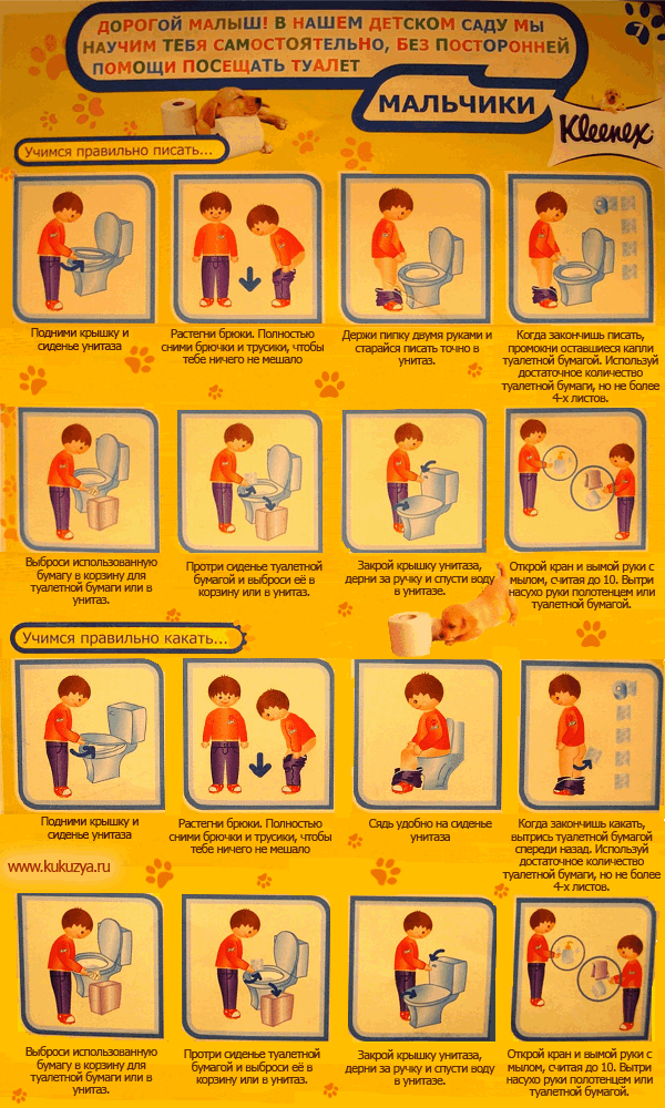 Инструкция по пользованию туалетной бумагой для малышей