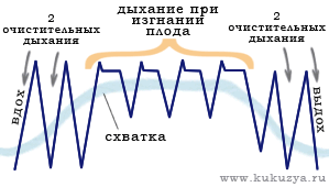 Дыхания при потугах