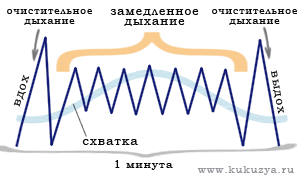 Методика замедленного дыхания