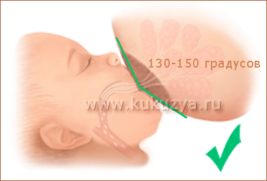 Правильное прикладывание ребёнка к груди