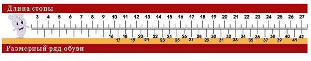 Соответствие длины стопы размеру обуви