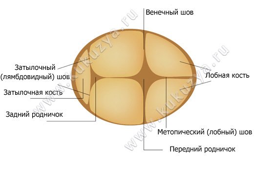 Роднички