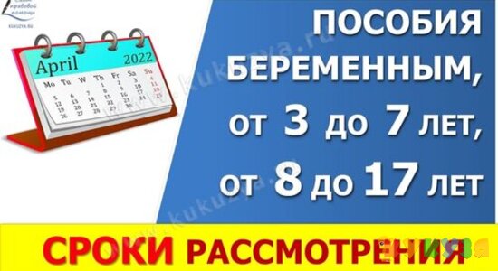 Срок рассмотрения заявлений на пособия: Путинские, от 3 до 7 лет, от 8 до 17, беременным