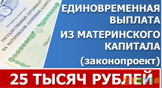 В Госдуме снова подняли вопрос о единовременной выплате из средств Маткапитала до 25 тысяч рублей