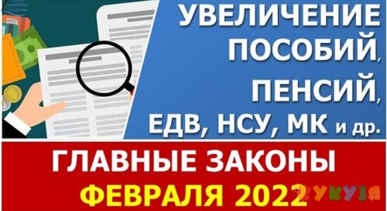 Главные законы февраля 2022. Какие законы вступили (вступят) в силу с 1 февраля 2022 года