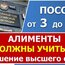 Верховный Суд РФ постановил, что алименты должны ИСКЛЮЧАТЬСЯ из дохода