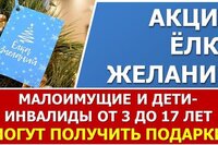 Всероссийская акция "Ёлка желаний". Как подать заявку в 2021 году на получение подарка