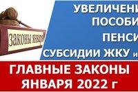 Главные законы января 2022. Какие законы вступили в силу с 1 января 2022 года