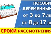 Срок рассмотрения заявлений на пособия: Путинские, от 3 до 7 лет, от 8 до 17, беременным