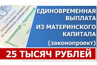 В Госдуме снова подняли вопрос о единовременной выплате из средств Маткапитала до 25 тысяч рублей