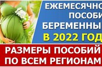 Ежемесячное пособие беременным женщинам. Размеры в 2022 году (таблица по всем регионам)