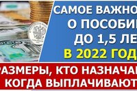Пособие по уходу за ребенком до 1,5 лет с изменениями на 2022 год