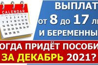 ПФР проинформировал, когда перечислят пособие от 8 до 17 лет и беременным за декабрь