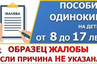 Пособие от 8 до 17 лет. Образец жалобы, если ПФР не указал причину отказа