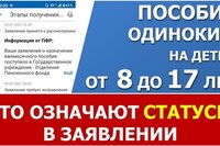 Пособие от 8 до 17 лет. Статусы по заявлению и расшифровка