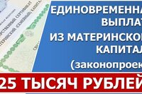 Госдума предложила выплатить остатки Материнского капитала до 25 тысяч рублей